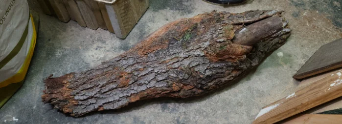 A rough bark-covered log with deep fissures and moss, lying on the workshop floor before any work